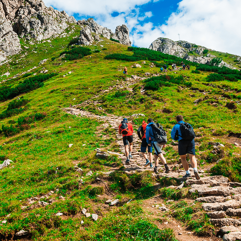 Foto Esporte de Lazer: Um grupo de pessoas fazendo uma trilha em uma colina toda verde. 